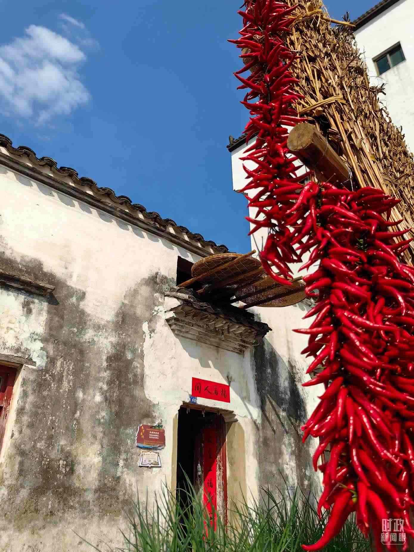 △石門村農家晾曬的辣椒。（總臺央視記者段德文拍攝）