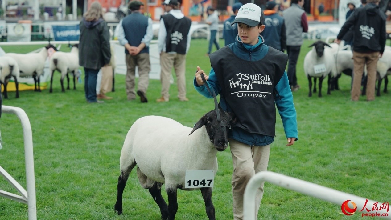 烏拉圭第118屆普拉多牧農(nóng)業(yè)國(guó)際博覽會(huì)現(xiàn)場(chǎng)。人民網(wǎng)記者 張若涵攝