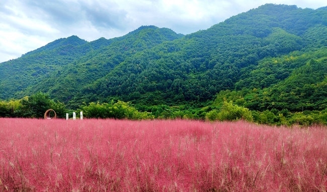 寶成線(xiàn)鳳縣境內(nèi)的路邊。