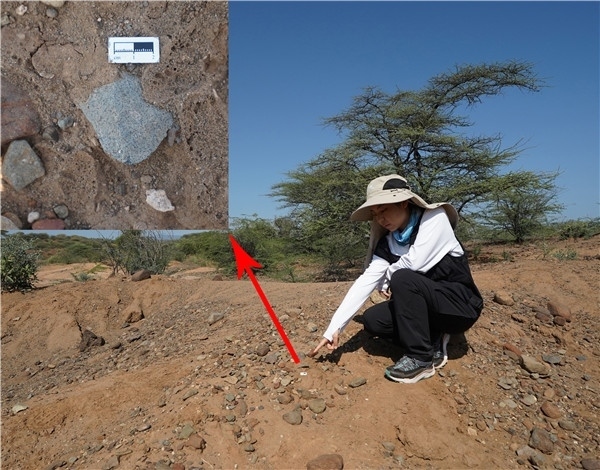 地層中的勒瓦婁哇石片。中肯聯合考古隊供圖