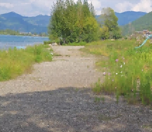 王軍所說被填區(qū)域。 人民網(wǎng)記者 黃鈺攝