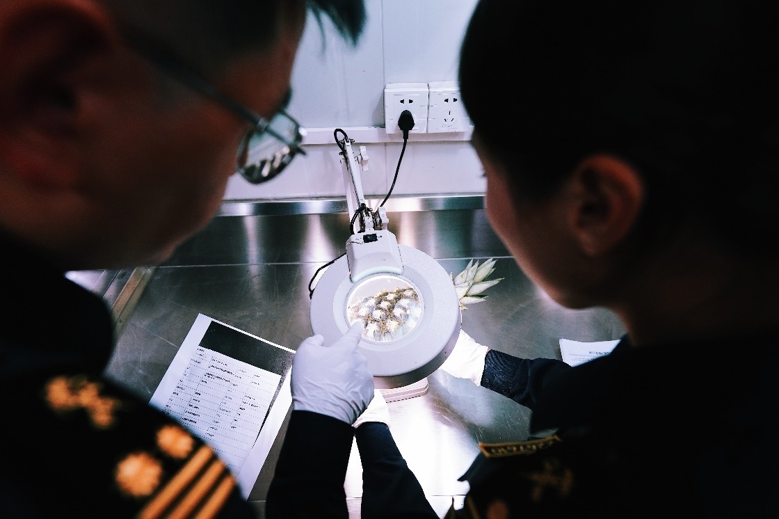 上海海關(guān)關(guān)員針對檢疫性有害生物和農(nóng)藥殘留進(jìn)行檢疫檢驗(yàn)。陳興洲攝