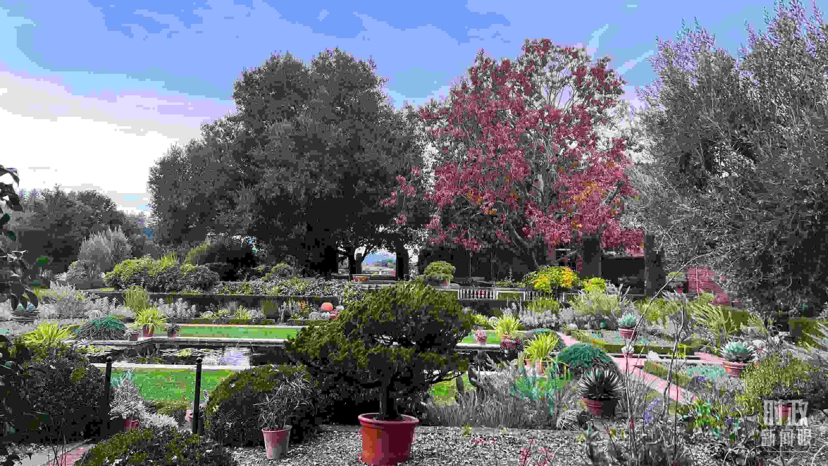 斐洛里莊園被稱作美國(guó)20世紀(jì)現(xiàn)存最精美鄉(xiāng)村莊園之一。（總臺(tái)央視記者程鋮拍攝）