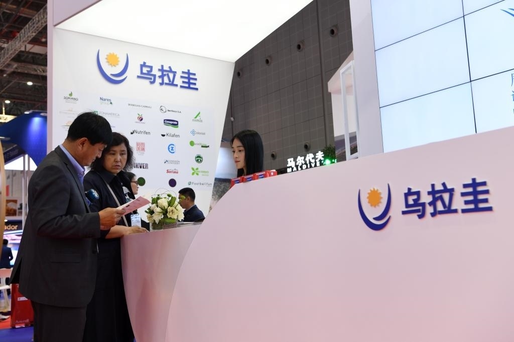 2019年11月6日，參觀者在第二屆進博會烏拉圭國家館展臺咨詢。