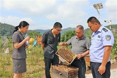  圖②：蒙山法院黃村法庭法官深入蜂蜜合作社，實(shí)地了解蜂農(nóng)需求。