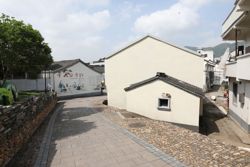 浙江省義烏市李祖村一景（2023年5月23日攝）。新華社記者 杜瀟逸 攝