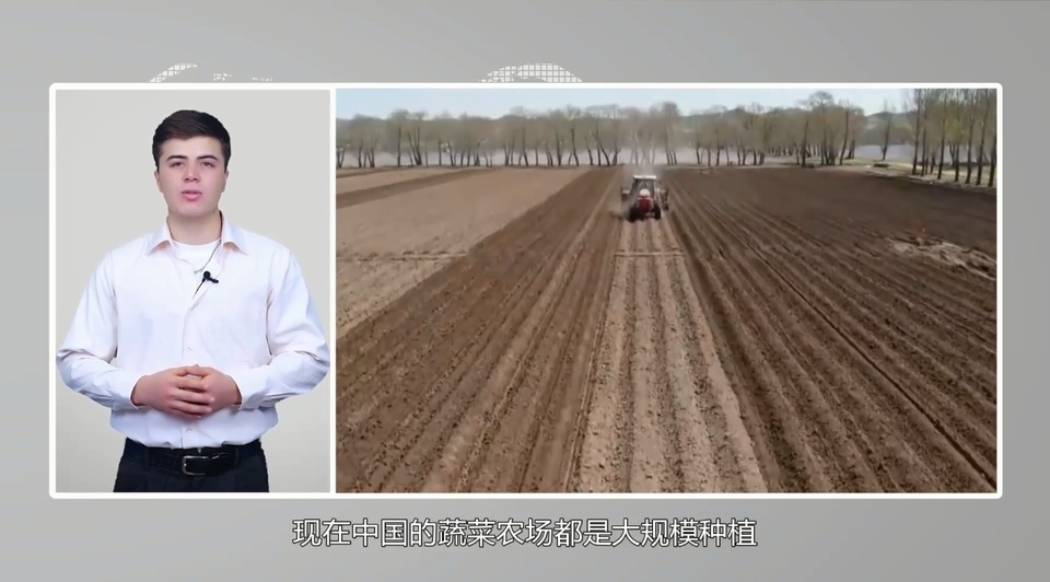 【國際3分鐘】中國大蒜成國家威脅？美政客反智言論背后的問題值得思考_fororder_2