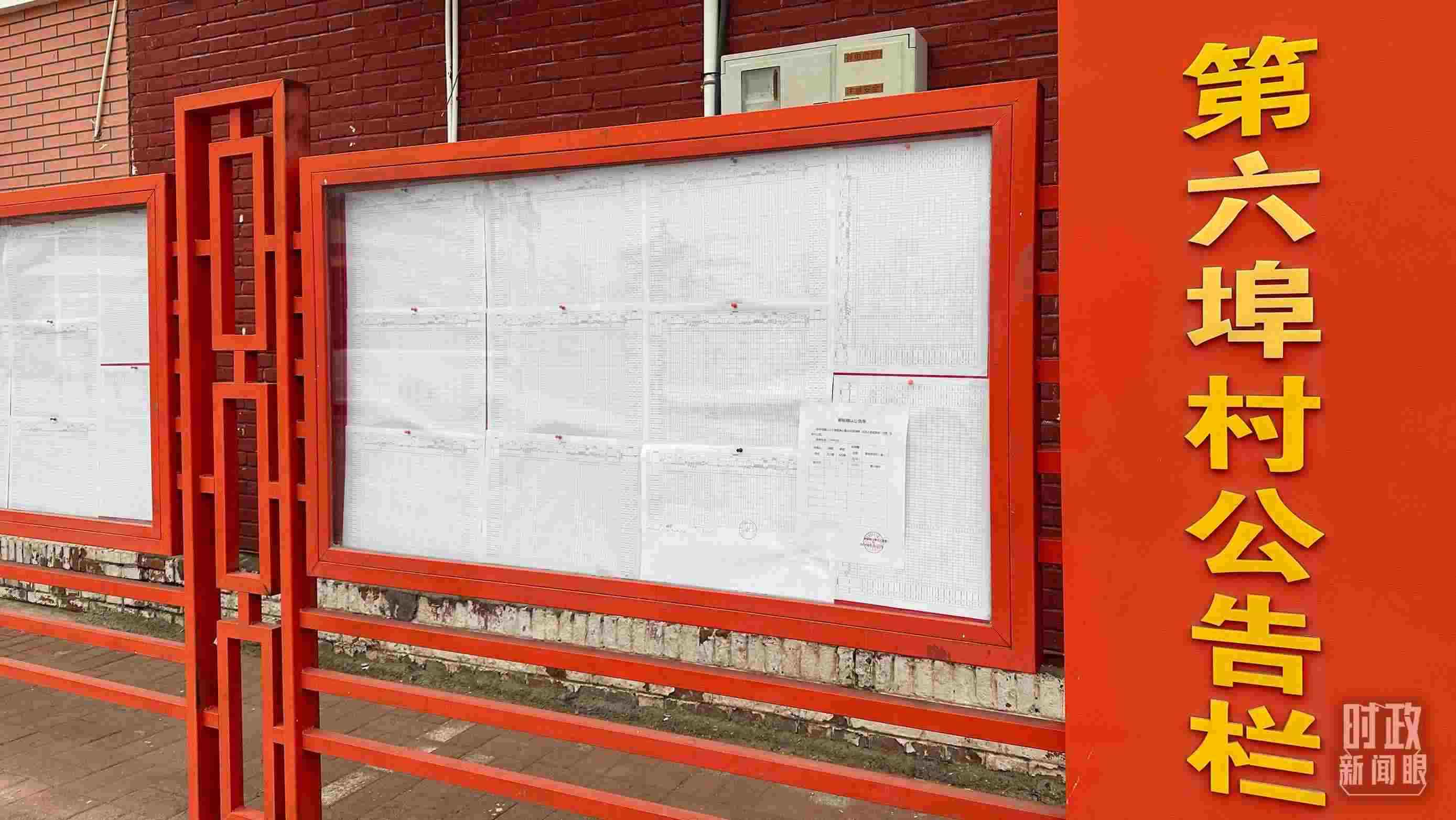 △第六埠村公告欄里張貼著“天津市2023年蓄滯洪區(qū)農(nóng)作物、經(jīng)濟林補償標準表”等。（總臺央視記者覃思拍攝）