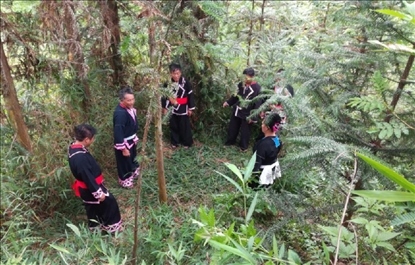 “瑤老”人民調(diào)解員翻山越嶺開展現(xiàn)場(chǎng)調(diào)解。