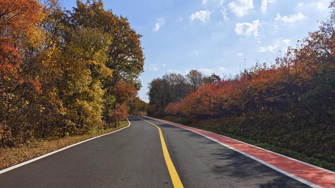 九臺(tái)區(qū)圍繞紅色文化、冰雪資源、特色民宿，進(jìn)一步完善道路功能。九臺(tái)區(qū)委宣傳部供圖