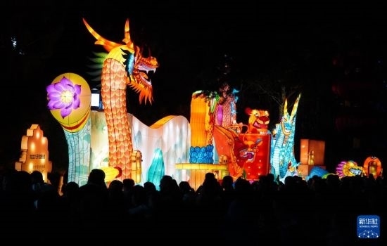 2月11日晚，人們?cè)跐?jì)南市趵突泉公園觀賞花燈。