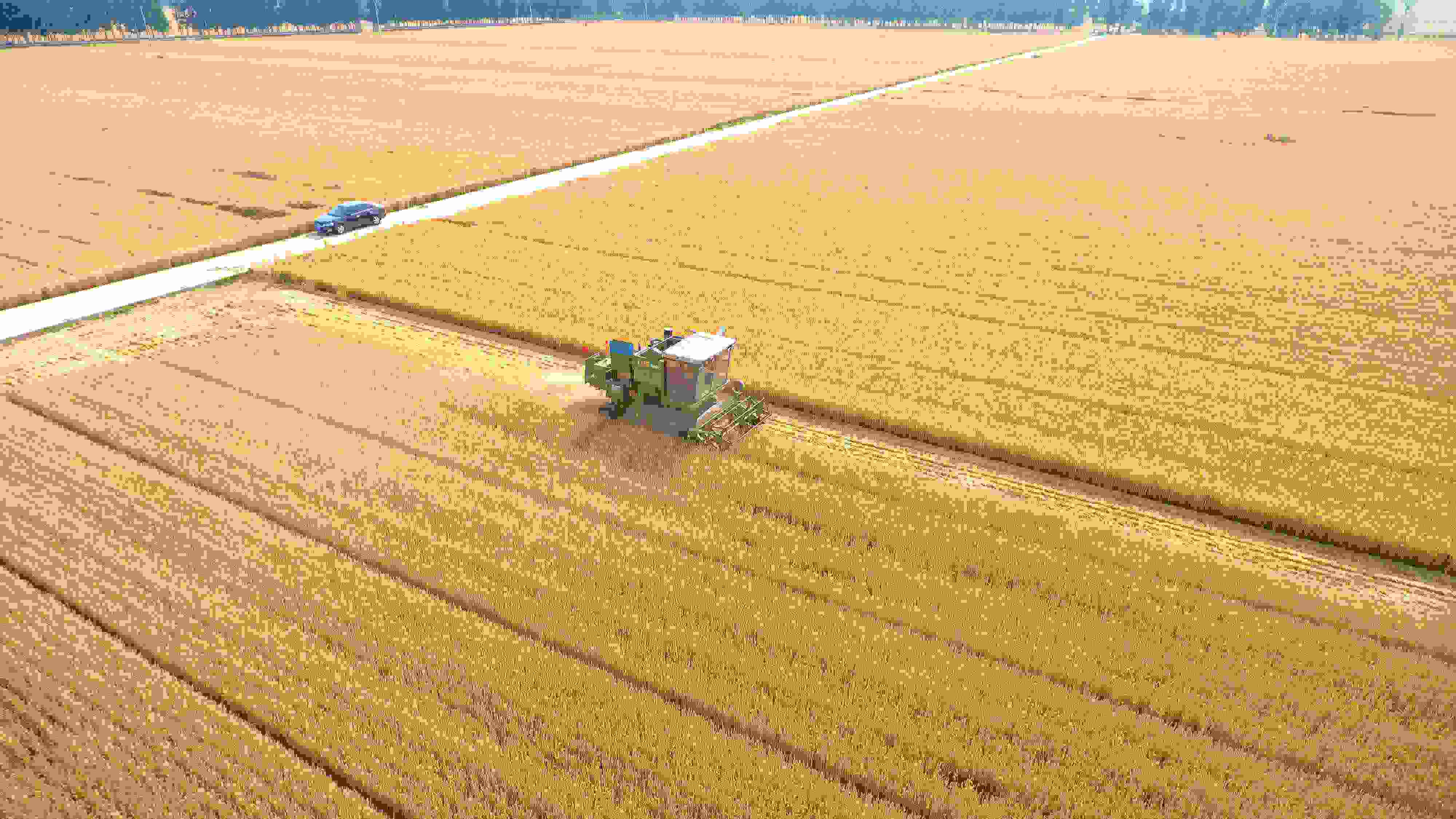 △ 2023年6月5日，山東聊城茌平區(qū)賈寨鎮(zhèn)王藥包村，收割機(jī)在田間進(jìn)行小麥?zhǔn)崭钭鳂I(yè)。