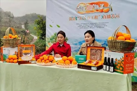 2021年2月26日，在重慶渝北區(qū)大盛鎮(zhèn)青龍村舉辦的直播活動現(xiàn)場。