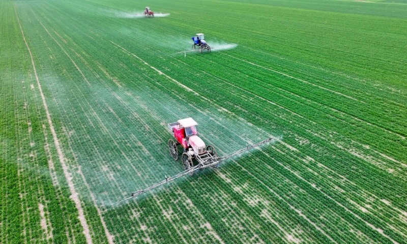 2024年2月18日，安徽省亳州市，利辛縣紀王場鄉(xiāng)孫老家村麥田，農(nóng)民駕駛自走式高桿噴霧機對小麥進行噴藥作業(yè)。