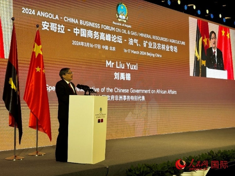 中國政府非洲事務特別代表劉禹錫。人民網(wǎng)記者 張榮攝