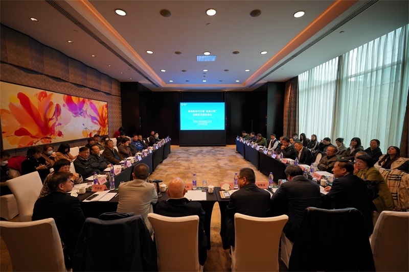 座談會(huì)現(xiàn)場(chǎng)。主辦方供圖