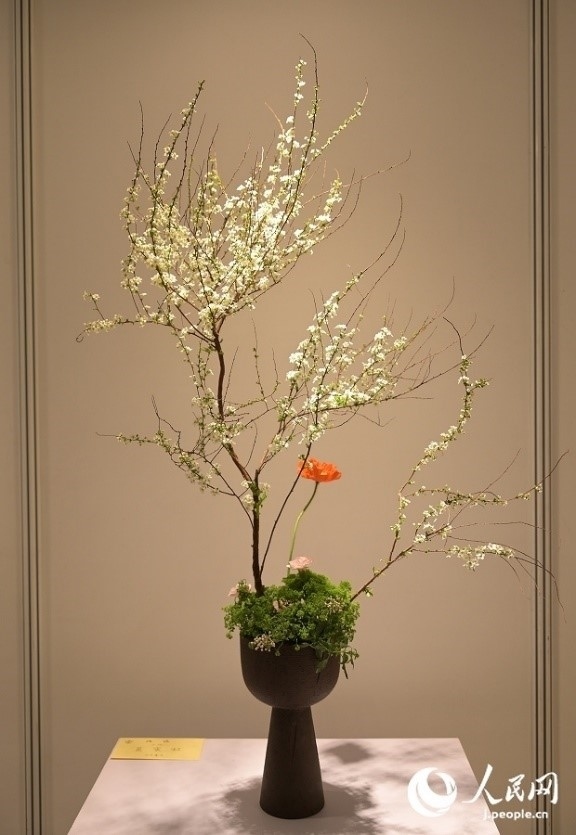 插花作品。人民網(wǎng) 玄番登史江攝