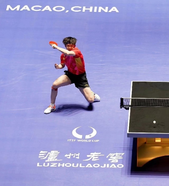 王楚欽在比賽中。賽事方供圖