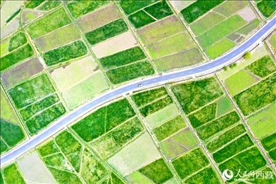 無人機(jī)視角下的西藏山南市瓊結(jié)農(nóng)田。人民網(wǎng)記者 次仁羅布攝