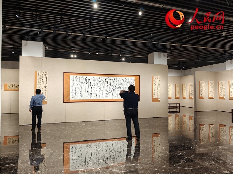 觀眾正在參觀展覽。人民網(wǎng)記者 韋衍行攝