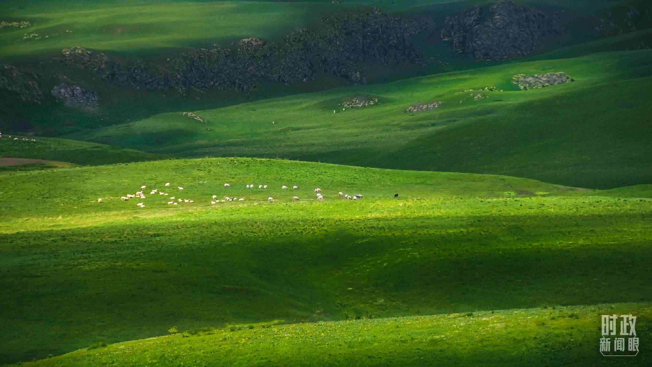 △祁連山草原光影。（圖/視覺(jué)中國(guó)）