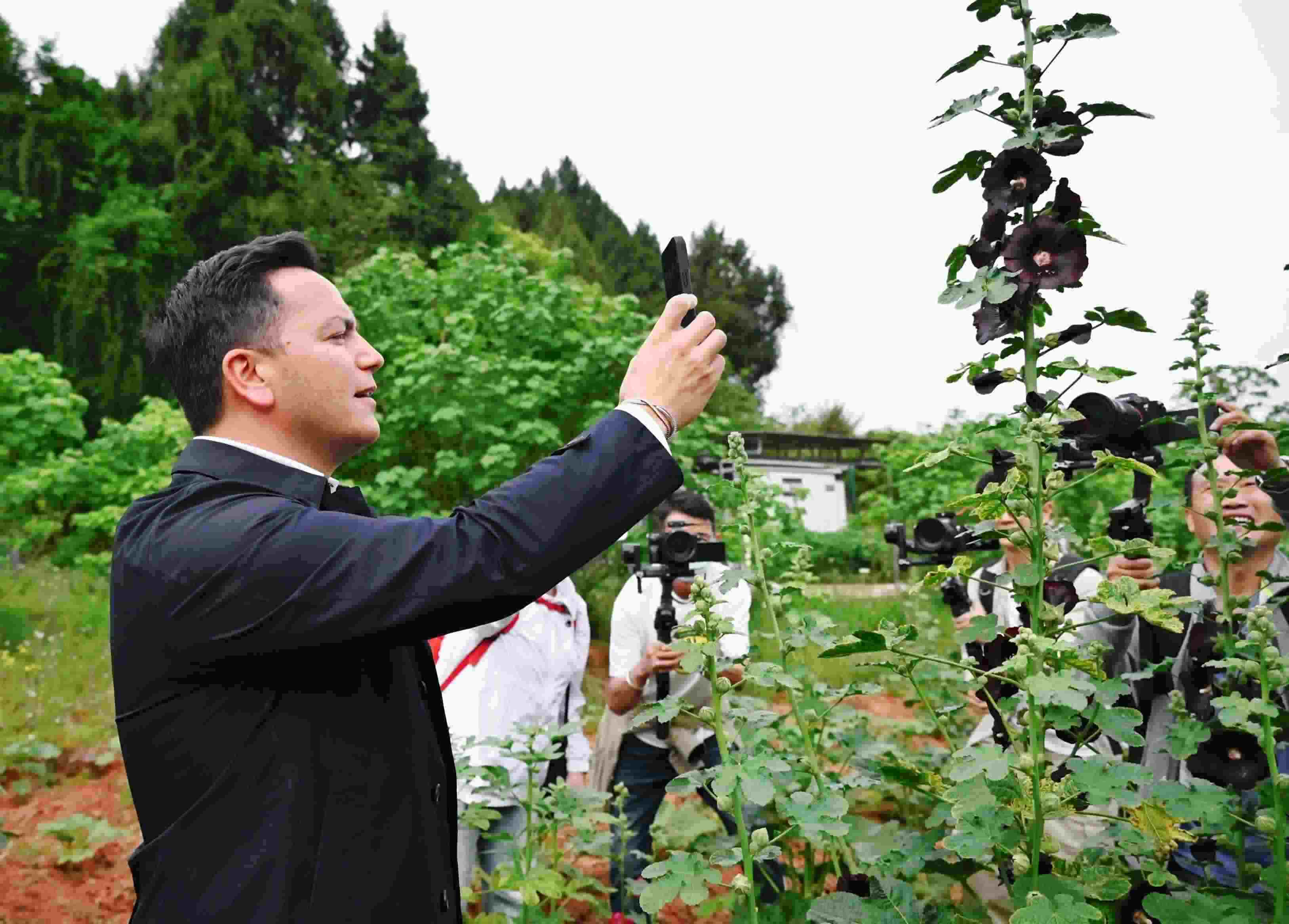  △2024年4月23日，國(guó)際園藝生產(chǎn)者協(xié)會(huì)主席萊昂納多·卡皮塔尼奧在成都市金堂縣鮮花山谷景區(qū)考察蜀葵產(chǎn)業(yè)。