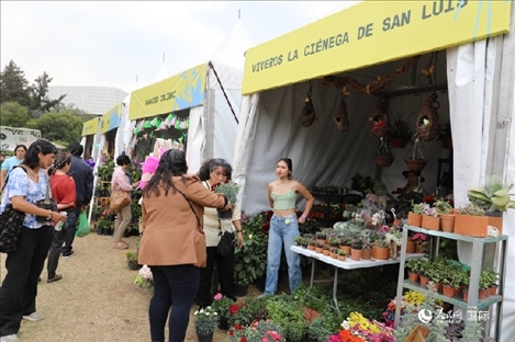 坎波·馬特活動現(xiàn)場。埃內(nèi)斯托·多明戈斯攝