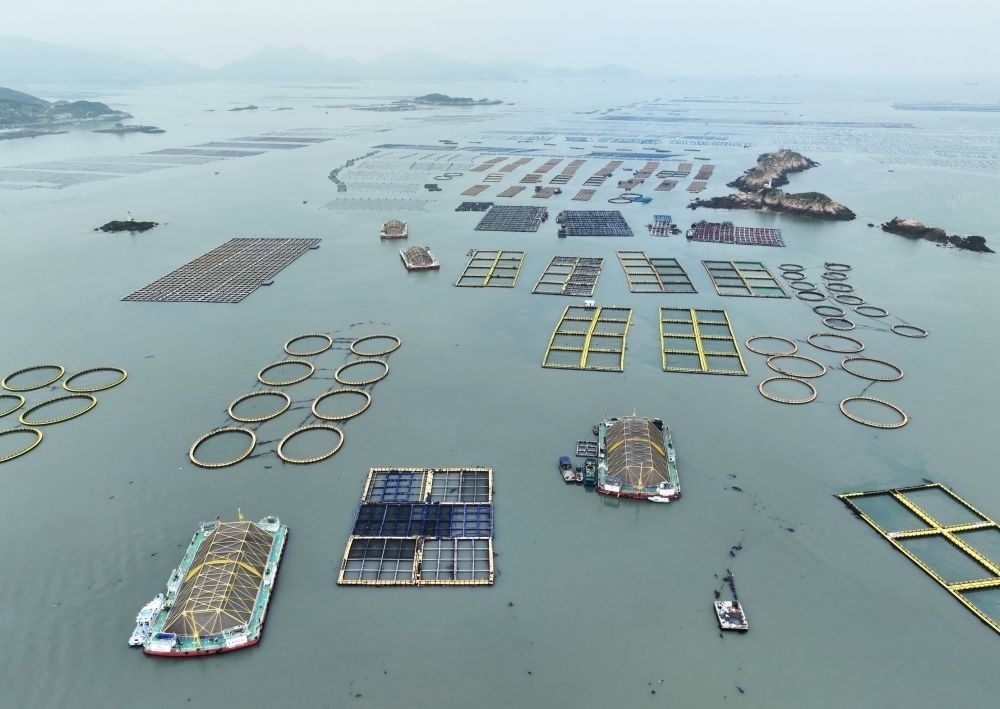 在福建連江定海灣海域，坐落著“定海灣1號”“定海灣2號”等深遠海養(yǎng)殖平臺（2024年5月7日攝，無人機照片）。新華社記者 林善傳 攝