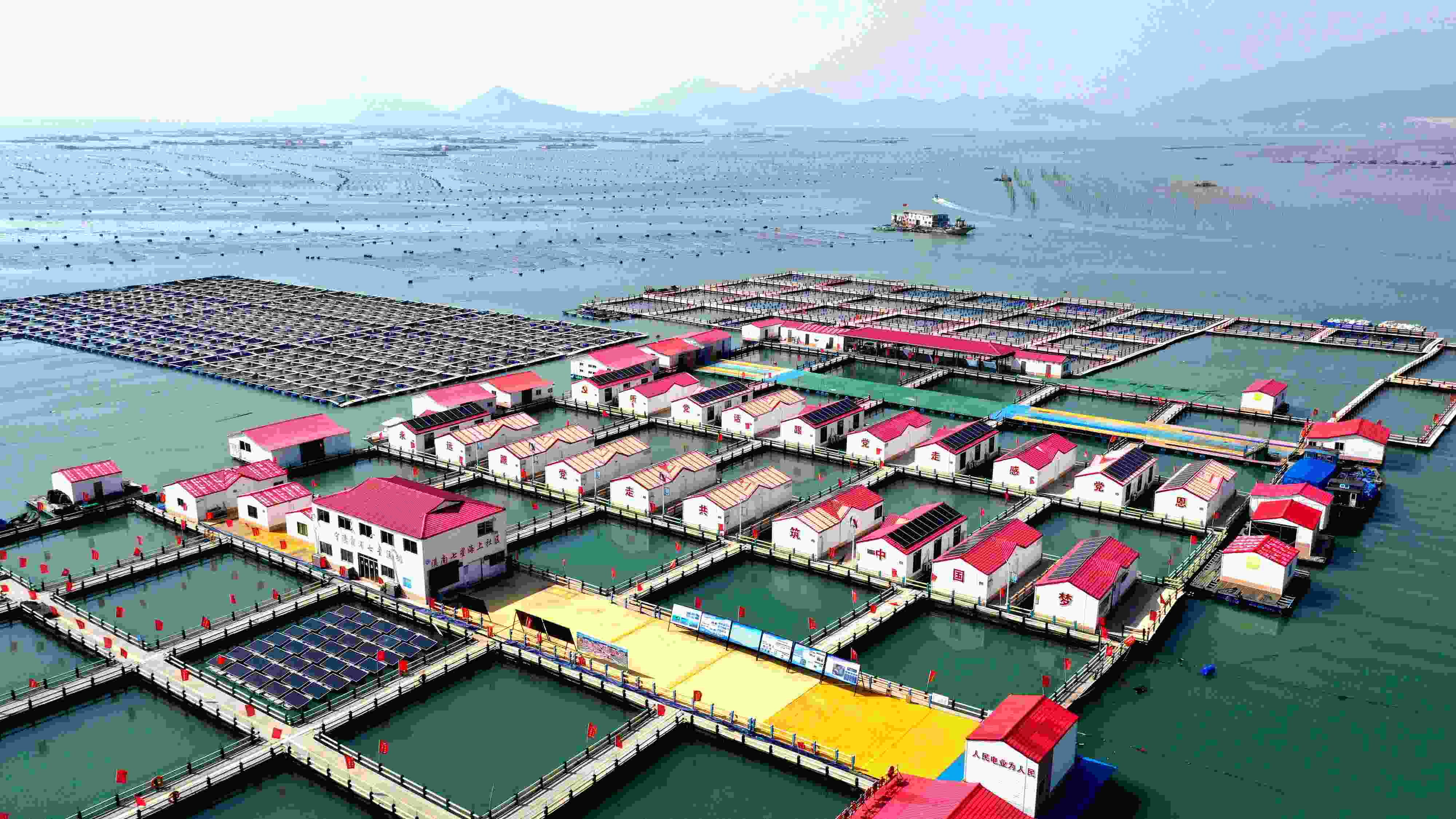 2024年3月20日，福建省寧德市，霞浦縣溪南鎮(zhèn)七星村漁排養(yǎng)殖示范區(qū)，漁民駕駛養(yǎng)殖船進(jìn)行海參養(yǎng)殖作業(yè)。