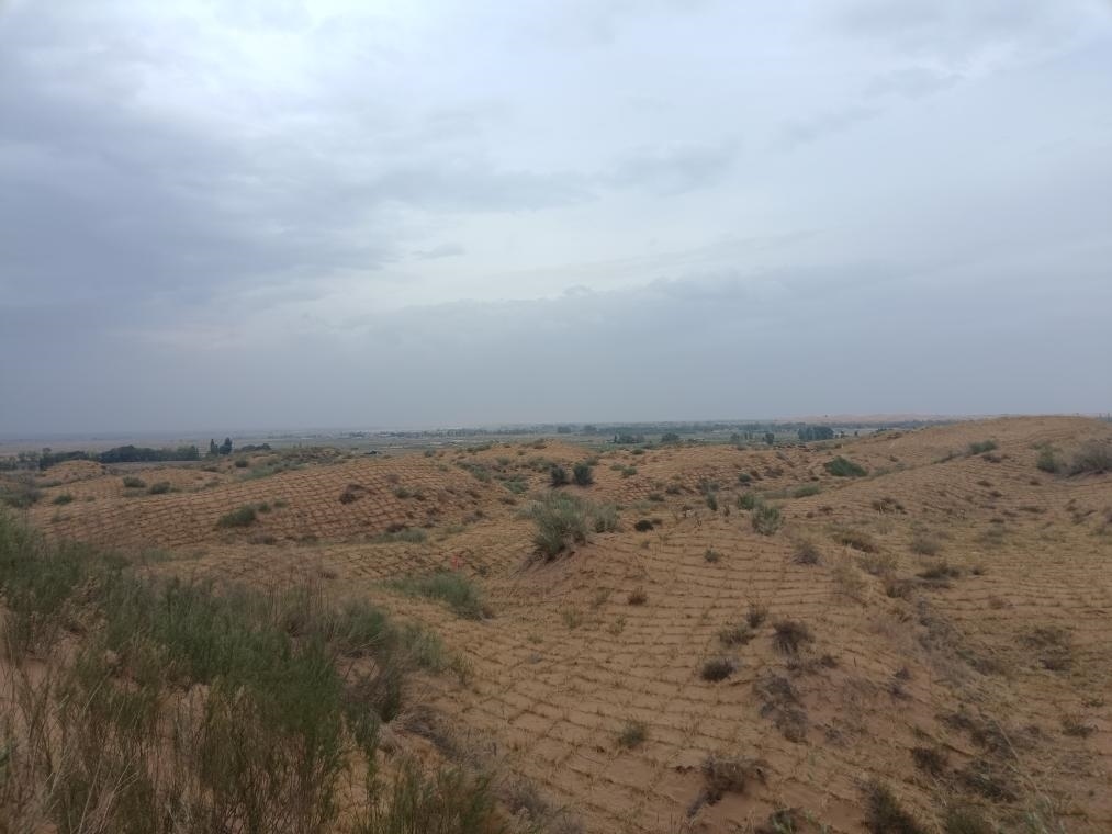 寧夏吳忠市鹽池縣和內蒙古鄂爾多斯市鄂托克前旗交界處的流動沙丘，今年剛剛完成治理。（孫果攝）