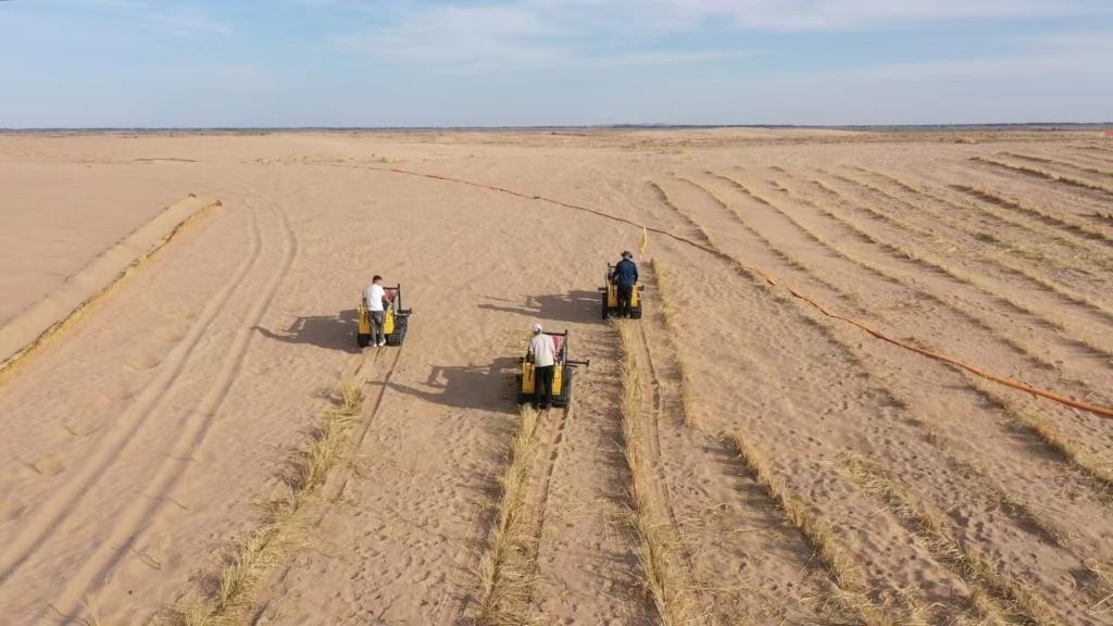 內蒙古巴彥淖爾市烏拉特后旗西補隆林業(yè)管護中心職工駕駛機械鋪設壓沙障。新華社記者 李云平 攝
