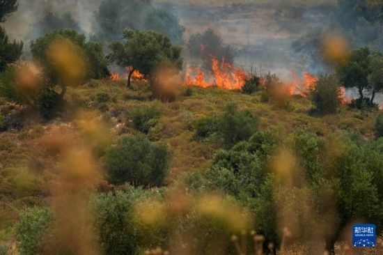 6月12日，以色列北部加利利地區(qū)遭受火箭彈襲擊后冒出滾滾濃煙。新華社發(fā)（阿亞爾·馬戈林攝/基尼圖片社）