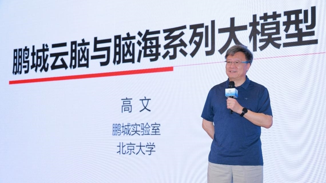 高文院士做大會特邀報告。主辦方供圖