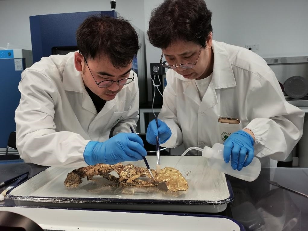 2023年7月，馬燕如（右）帶著魯海子（左）修復(fù)三星堆遺址出土的黃金面具。新華社發(fā)（四川省文物考古研究院供圖）