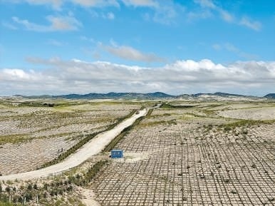 剛剛竣工的其白線穿沙公路。