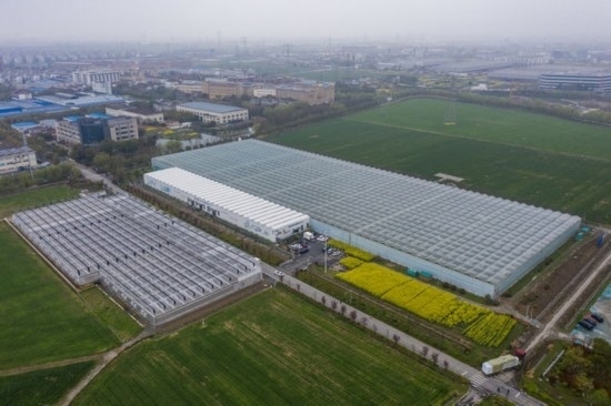 2024年3月28日，空中俯瞰嘉興南湖區(qū)湘家蕩農(nóng)業(yè)數(shù)字化工廠（無人機(jī)照片）。該農(nóng)業(yè)數(shù)字化工廠占地總面積約62畝，包含智慧農(nóng)業(yè)生產(chǎn)、物聯(lián)網(wǎng)智能管理、自動分揀包裝、保鮮儲藏物流、高科技示范展示等五大功能區(qū)，可直接或間接培養(yǎng)帶動新型職業(yè)技術(shù)農(nóng)民500人以上。新華社記者 徐昱 攝