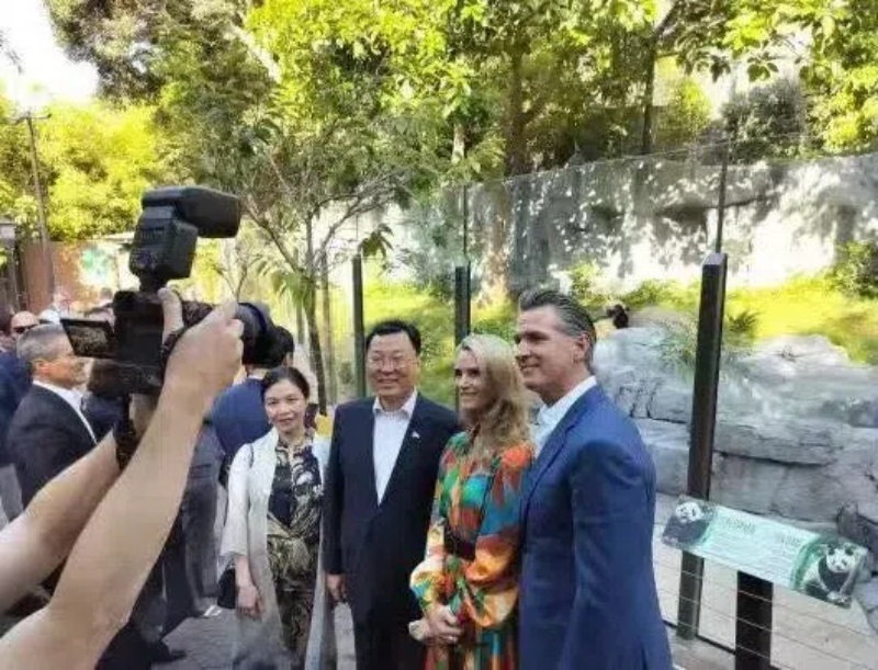 謝鋒大使及夫人與加州州長紐森夫婦在圣迭戈動(dòng)物園大熊貓館前合影。圖片為中國駐美大使館提供