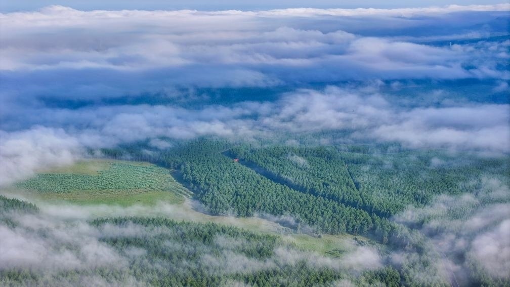 2024年7月26日拍攝的塞罕壩國(guó)家級(jí)自然保護(hù)區(qū)景色。新華社發(fā)（劉滿倉(cāng) 攝）