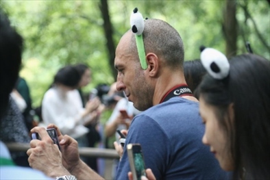 俄羅斯《俄羅斯報》視覺內(nèi)容編輯阿爾圖爾·杰魯諾夫在拍攝熊貓。（李佩藺 攝）