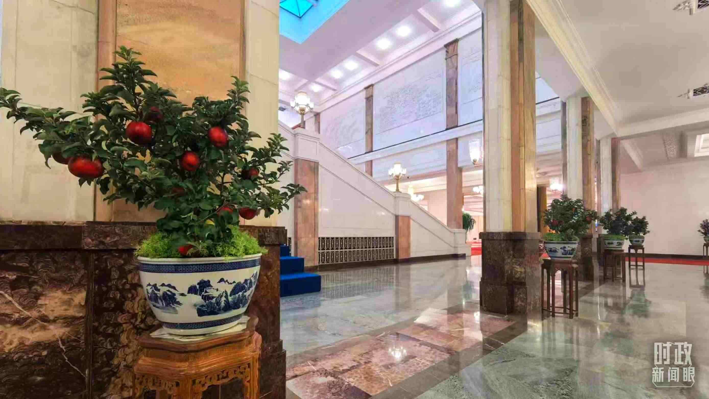  △大會堂內(nèi)的“碩果累累”盆栽。（總臺國廣記者吳倩拍攝）
