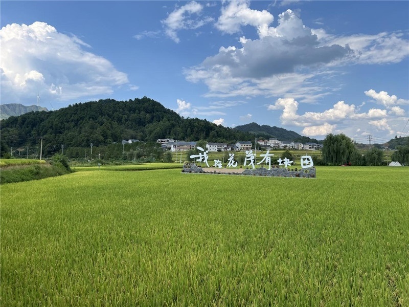 青瓦白磚的黔北民居、風(fēng)中搖曳的稻田、抬手可觸的大片云朵……才剛下車，格魯吉亞“經(jīng)濟(jì)中心網(wǎng)”總編輯莉安娜·喬爾喬利亞尼就被眼前的景色拖住了步履，喃喃細(xì)語：“實(shí)在太美了，讓我內(nèi)心平靜，在這里生活一定非常安逸和幸福?！保ㄇ褫x攝）