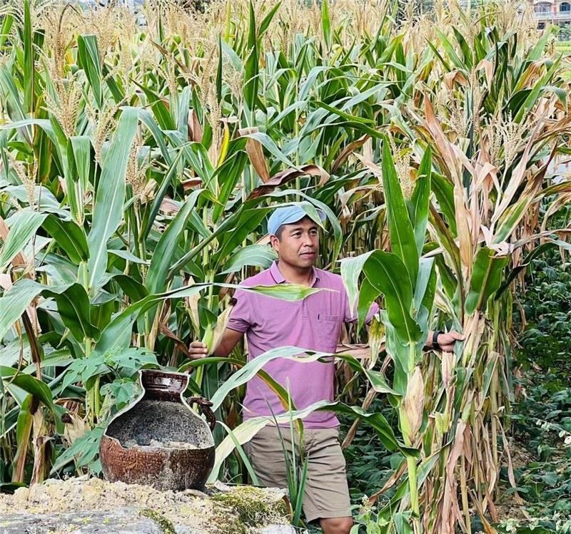 不是攀登石林高臺(tái)，就是鉆入玉米莊稼地，吉爾吉斯斯坦《自由之山報(bào)》總編輯納拉雷·阿桑巴耶夫“身手不凡”，與生長(zhǎng)旺盛的玉米構(gòu)成了花茂村的鄉(xiāng)間野趣。（張亞欣攝）