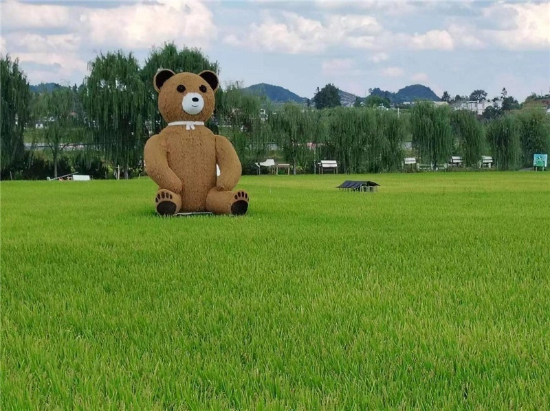 稻穗搖曳，垂柳依依，山嵐多姿，好一幅歲月靜好山鄉(xiāng)恬靜圖。這憨厚俏皮的熊玩偶造型，像是亂入其中，形成現(xiàn)代與傳統(tǒng)、好動(dòng)與寧靜的反差感，讓人過目不忘，也讓人莞爾一笑。（哈薩克斯坦鳳凰24新聞社總編輯兼首席執(zhí)行官克馬爾·馬山羅攝）