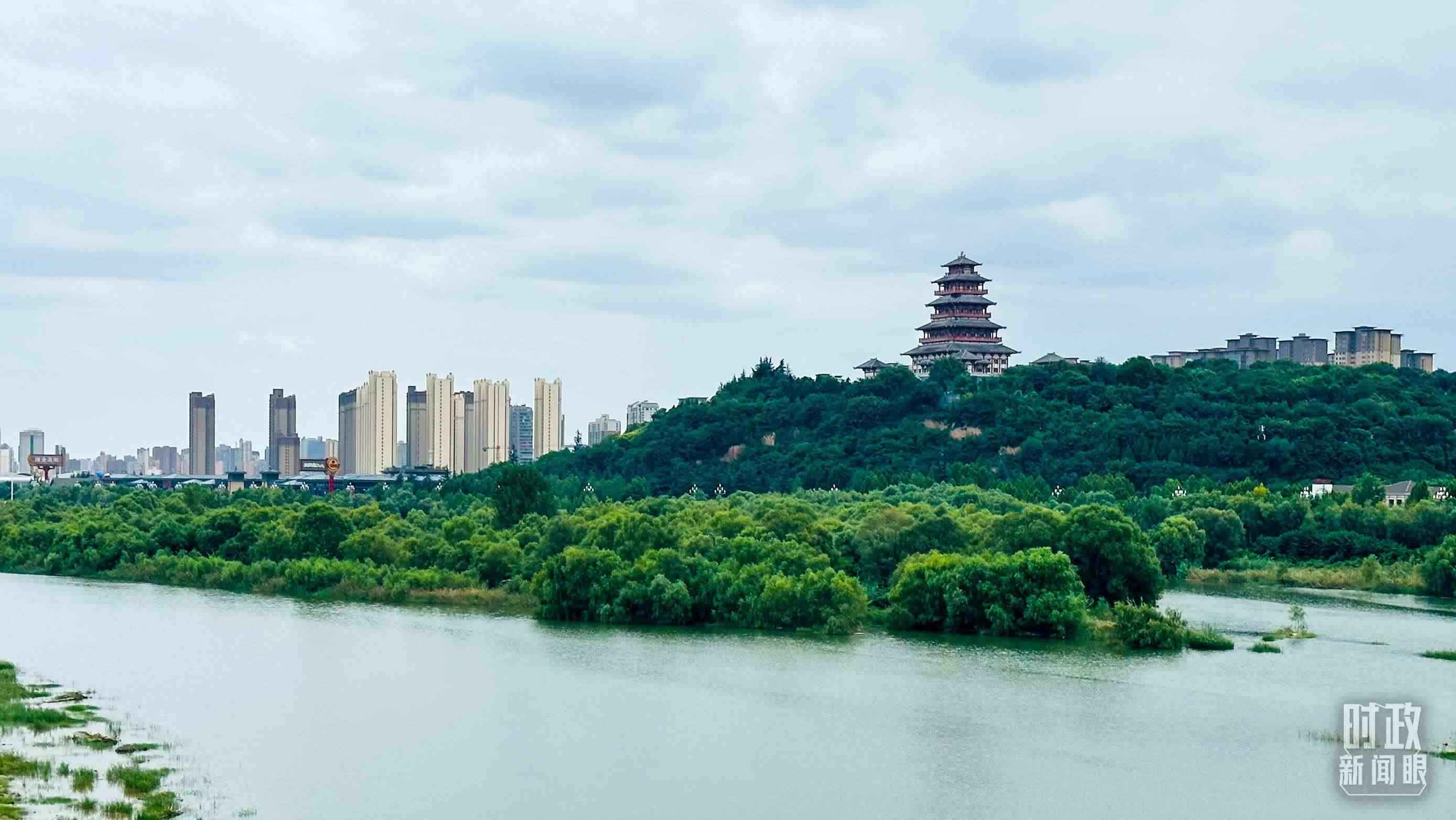 △黃河的第一大支流——渭河。（總臺央視記者范一鳴拍攝）