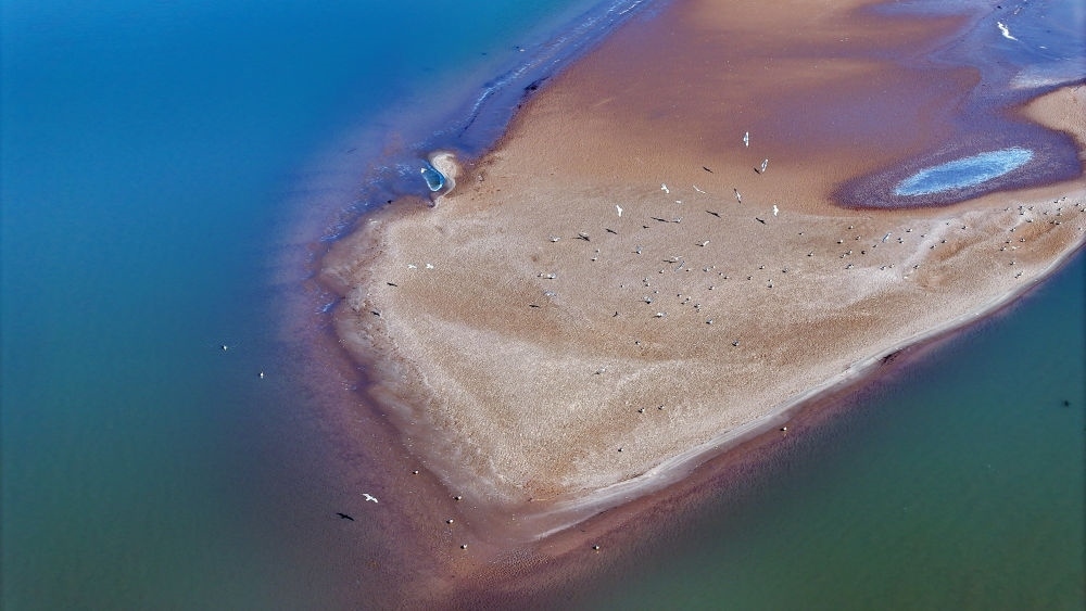 2024年3月1日拍攝的黃河寧夏段（無人機(jī)照片）。