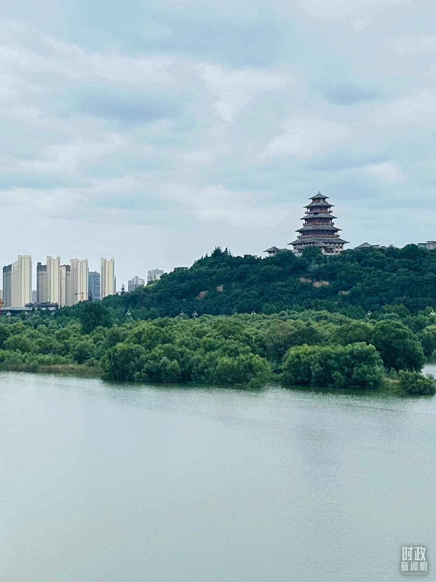 △渭河寶雞段長(zhǎng)224公里，目前建成17處渭河灘區(qū)生態(tài)涵養(yǎng)區(qū)。（總臺(tái)央視記者范一鳴拍攝）