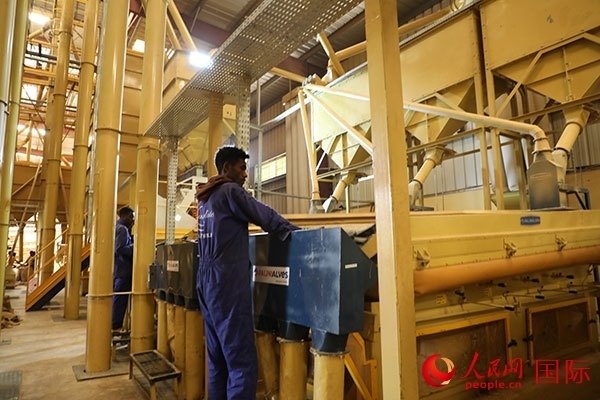 在Bule Hora咖啡加工廠里工作的當?shù)毓と藗?。人民網(wǎng)記者 沈小曉攝