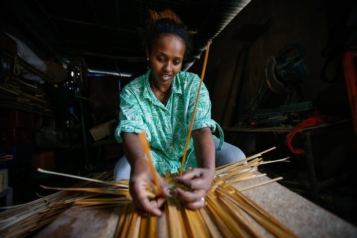 2024年8月10日，菲基爾特·加布雷在埃塞俄比亞首都亞的斯亞貝巴名為“綠色金子”的竹藤工作室里加工竹制產(chǎn)品。新華社發(fā)（邁克爾·特韋爾德 攝）