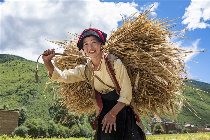 康定市甲根壩鎮(zhèn)青稞豐收，農(nóng)牧民臉上洋溢著豐收的喜悅。林革文攝