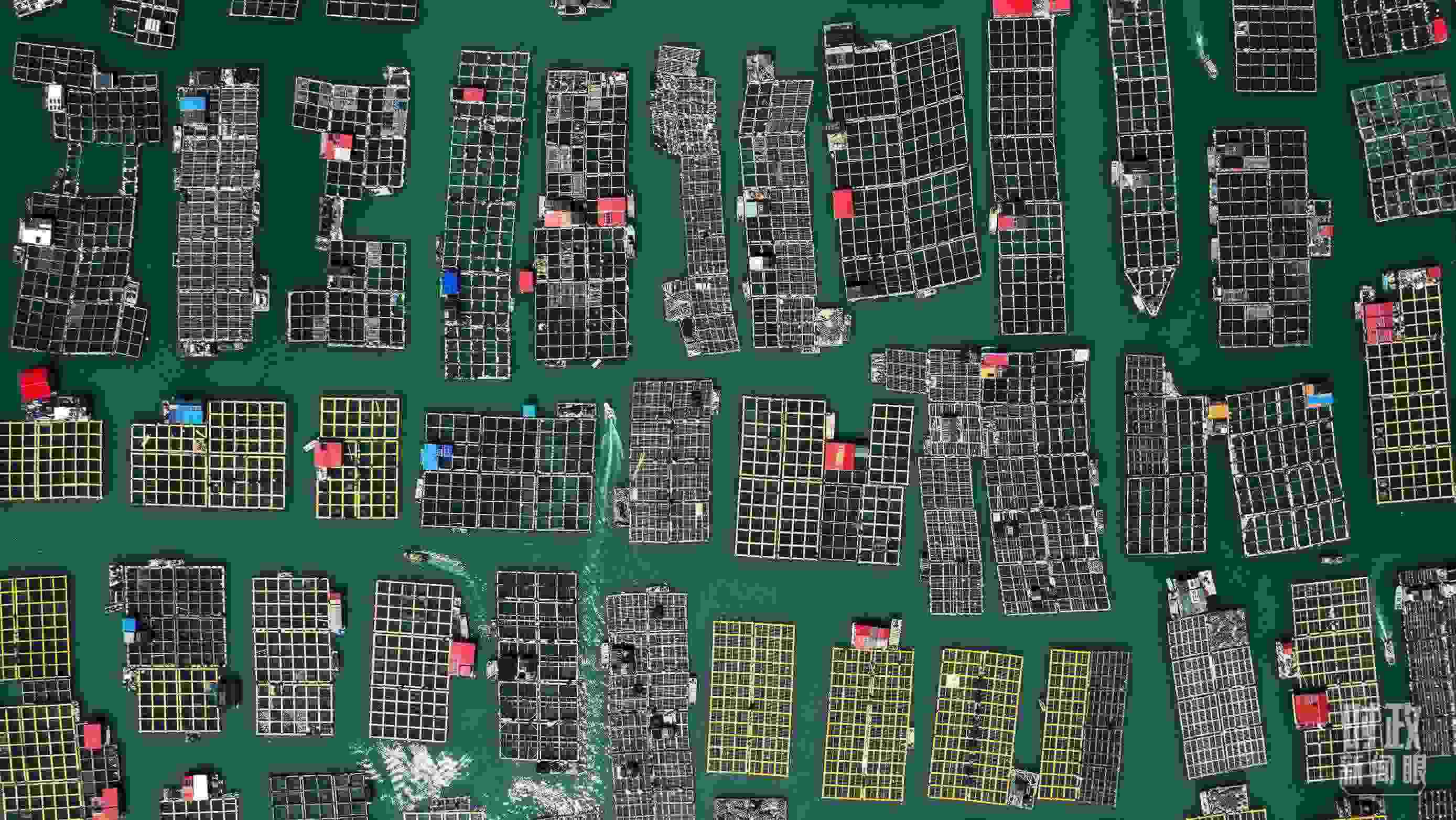 △澳角村。（總臺(tái)記者李晉拍攝）